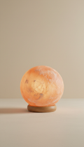 Mini globe Himalayan salt lamp with wood base